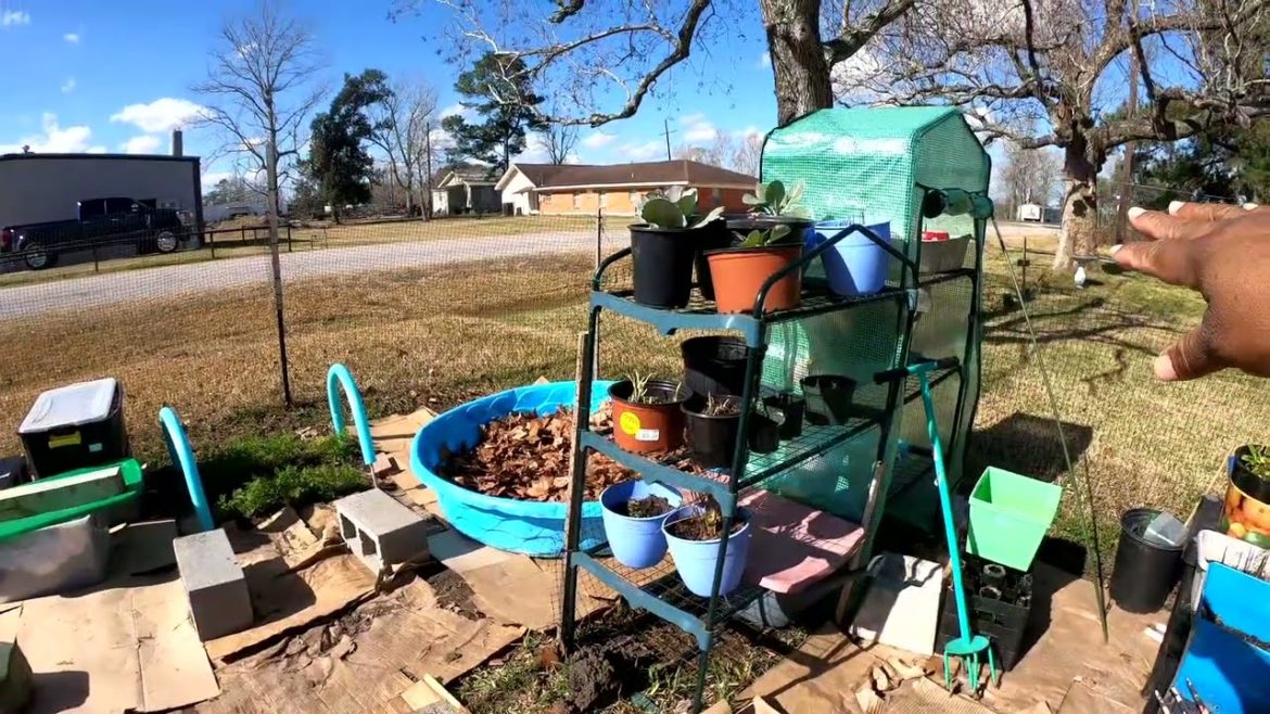 MAKING MULCH & MORE UPDATES TO MY GARDEN