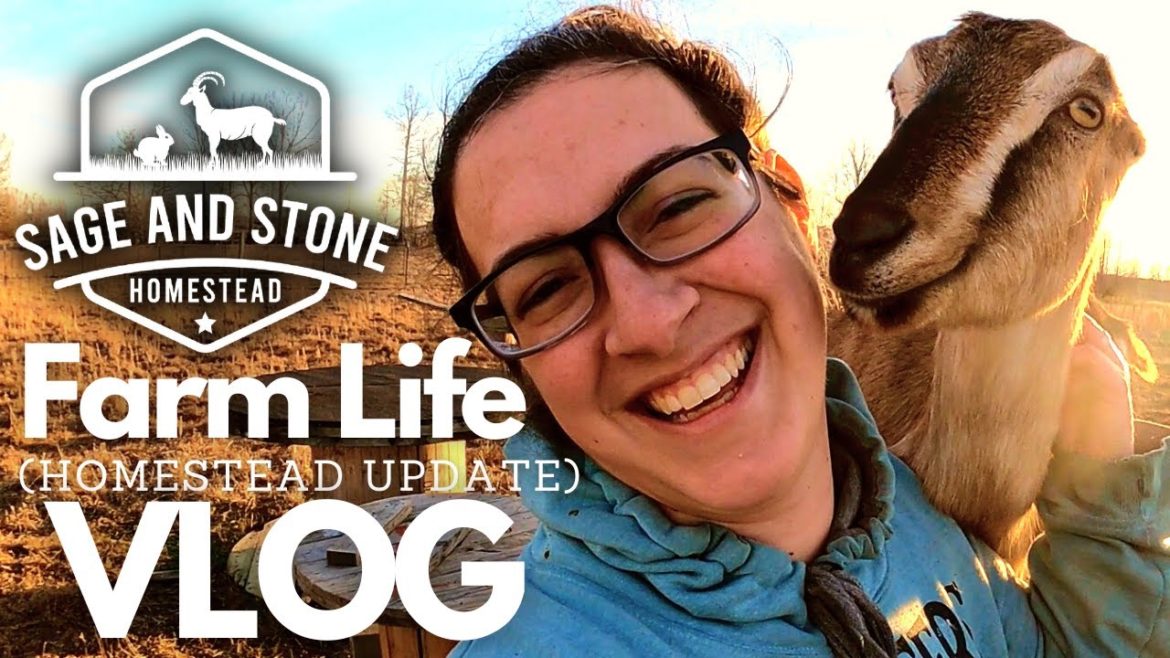 Homestead Update & Dairy Goat RETENTION Plan- Farm Life VLOG Homestead Update & Dairy Goat RETENTION Plan- Farm Life VLOG