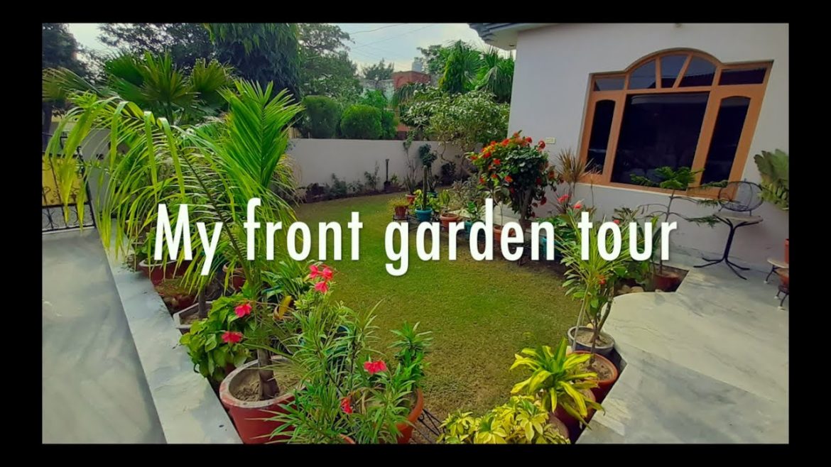 A BRIEF TOUR OF MY FRONT GARDEN | INDIA | LAWN IDEAS | PORCH TOUR | BACKYARD GARDENING A BRIEF TOUR OF MY FRONT GARDEN | INDIA | LAWN IDEAS | PORCH TOUR | BACKYARD GARDENING
