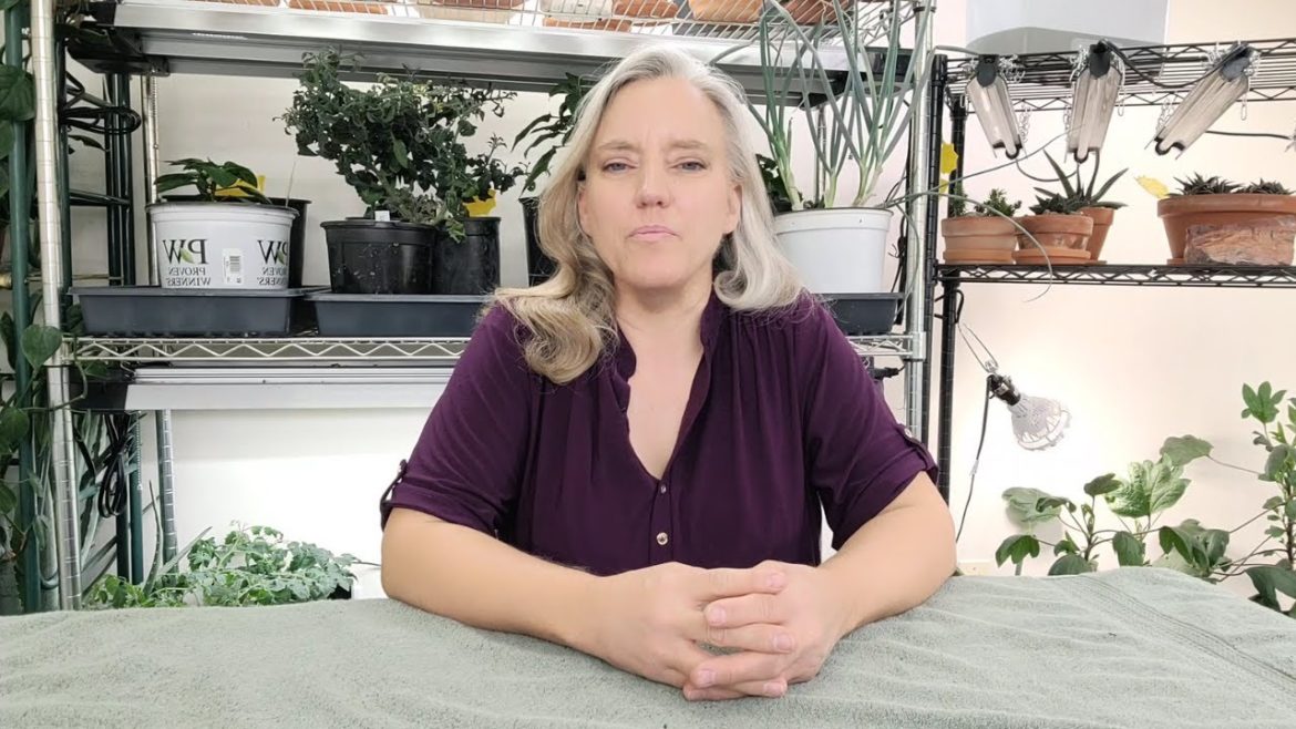 3 Beginning Gardener Series Understanding Climate and How it Relates to Your Garden