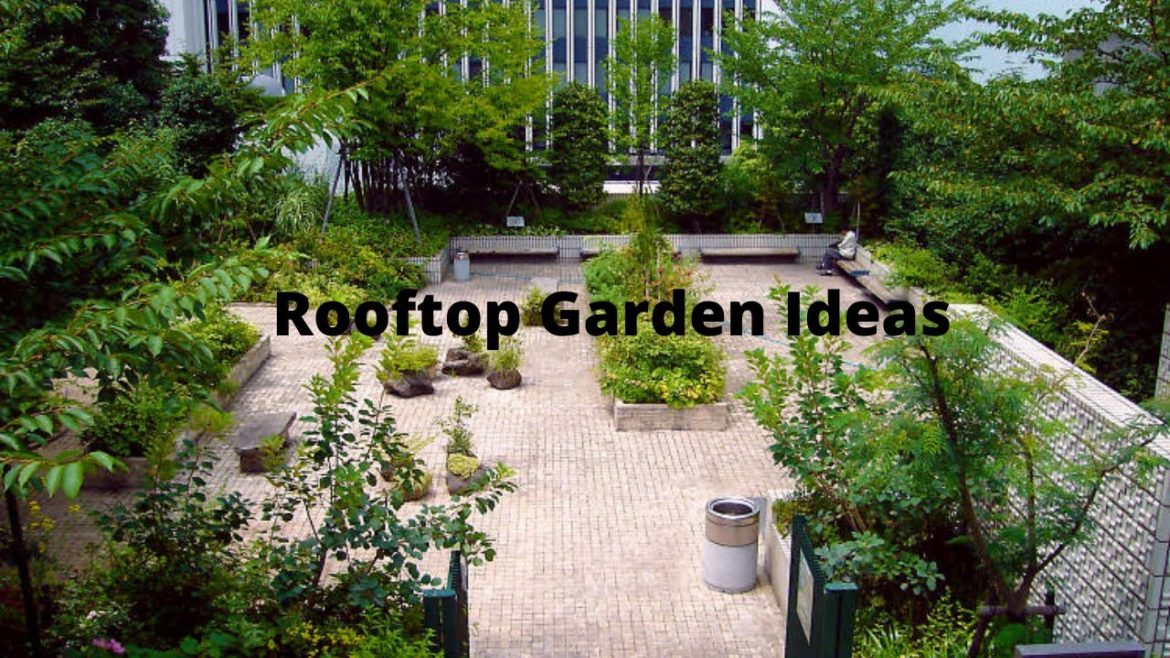 Beautiful Roof Top Garden Ideas | Amazing Rooftop Garden Design Ideas for  Home | Swaroopa Diaries