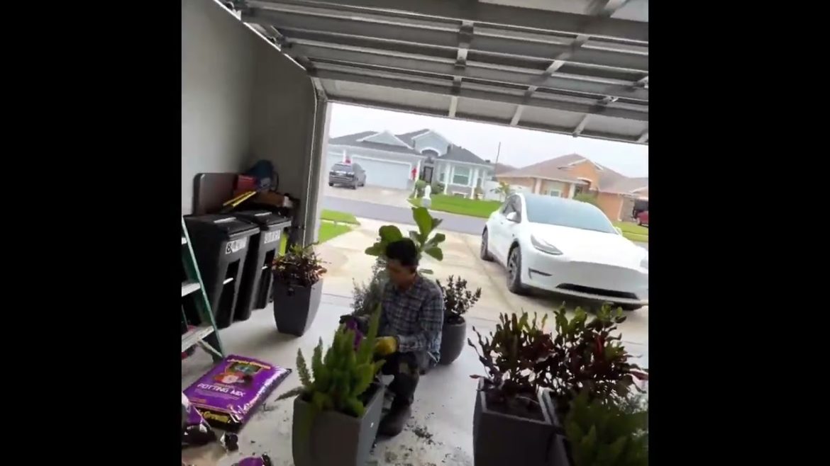 Add more plants to my front yard