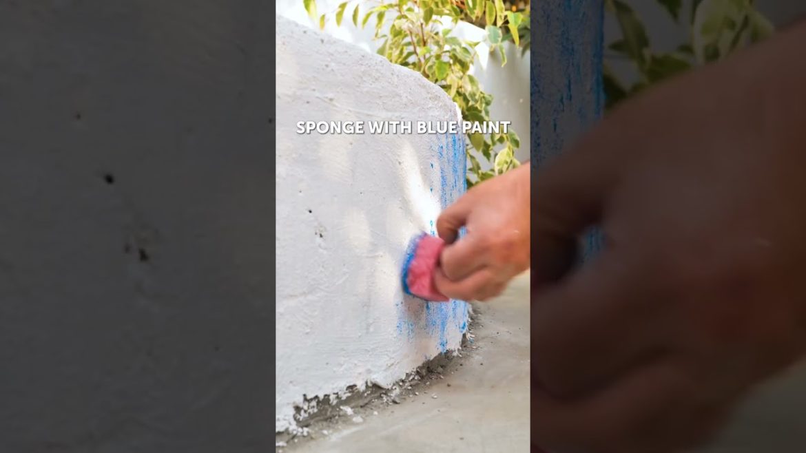 We made a backyard aquarium out of cement! #shorts