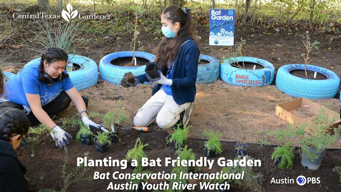 Planting a Bat Friendly Garden with Native Plants Planting a Bat Friendly Garden with Native Plants