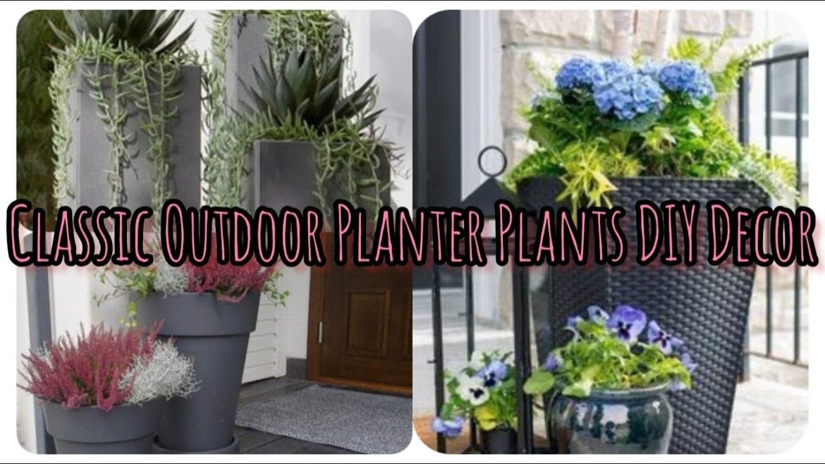 Spectacular Outdoor Planter Plants Fascinating Container Gardening Decor Ideas | Soothing Home Decor