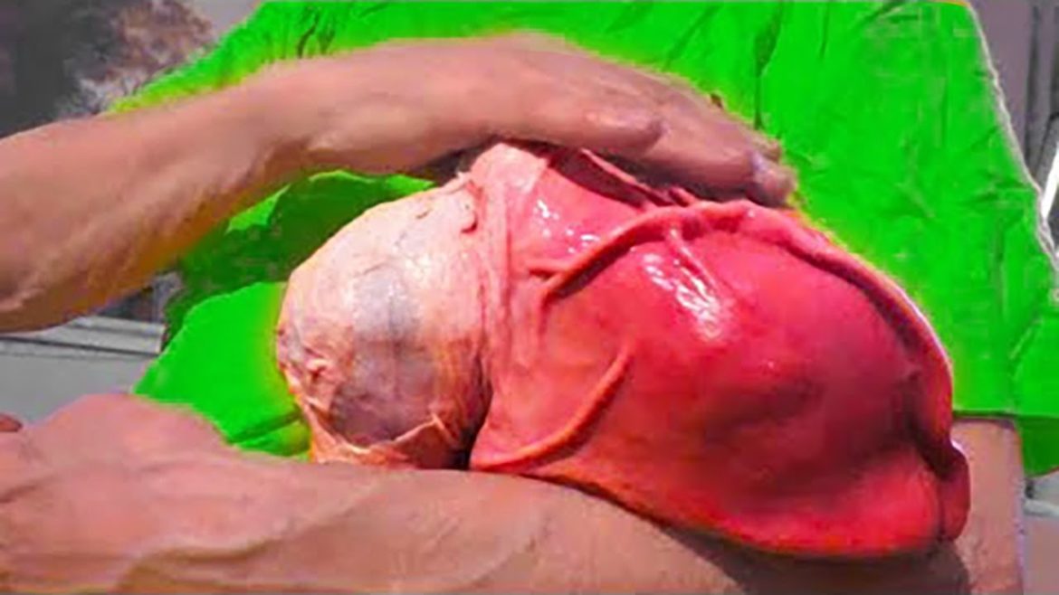 20 Things You Will See For The First Time in Your Life