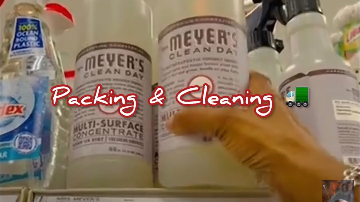More Packing + Shopping trip for Cleaning Supplies | Moving Series | Vlog Part 3