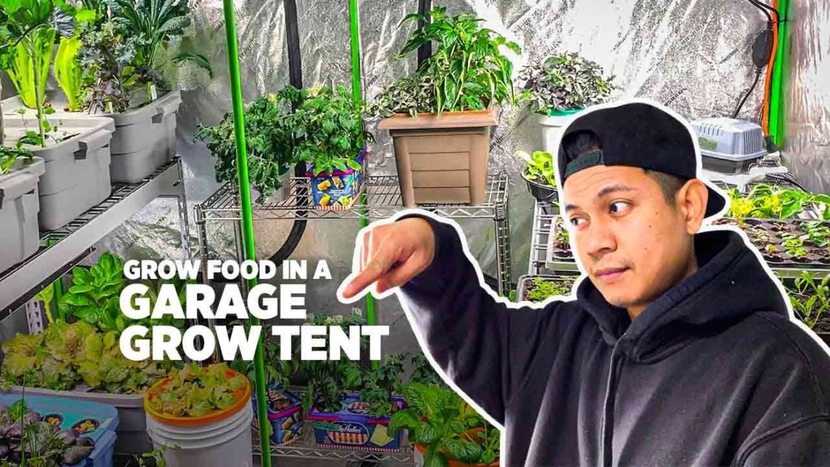 Grow food in a garage grow tent during winter months, my indoor garden Grow food in a garage grow tent during winter months, my indoor garden