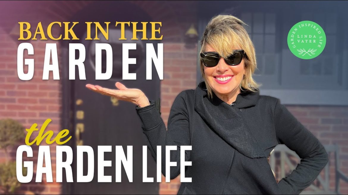 Back in the Garden at the New House Back in the Garden at the New House