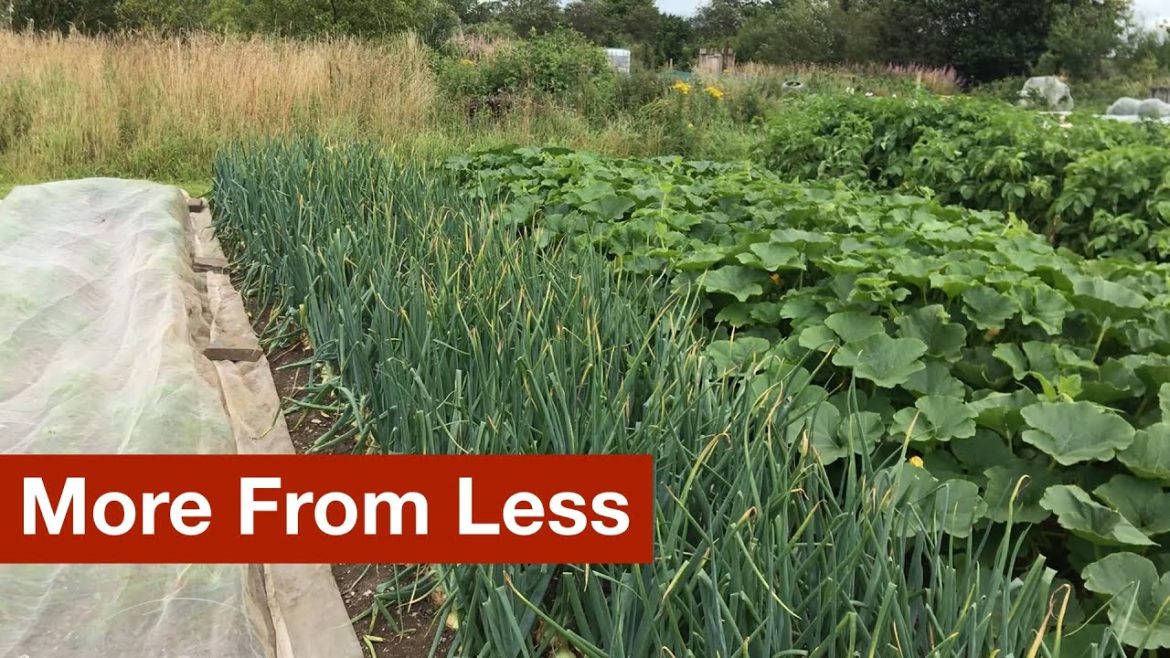 More From Less in the Simple Garden