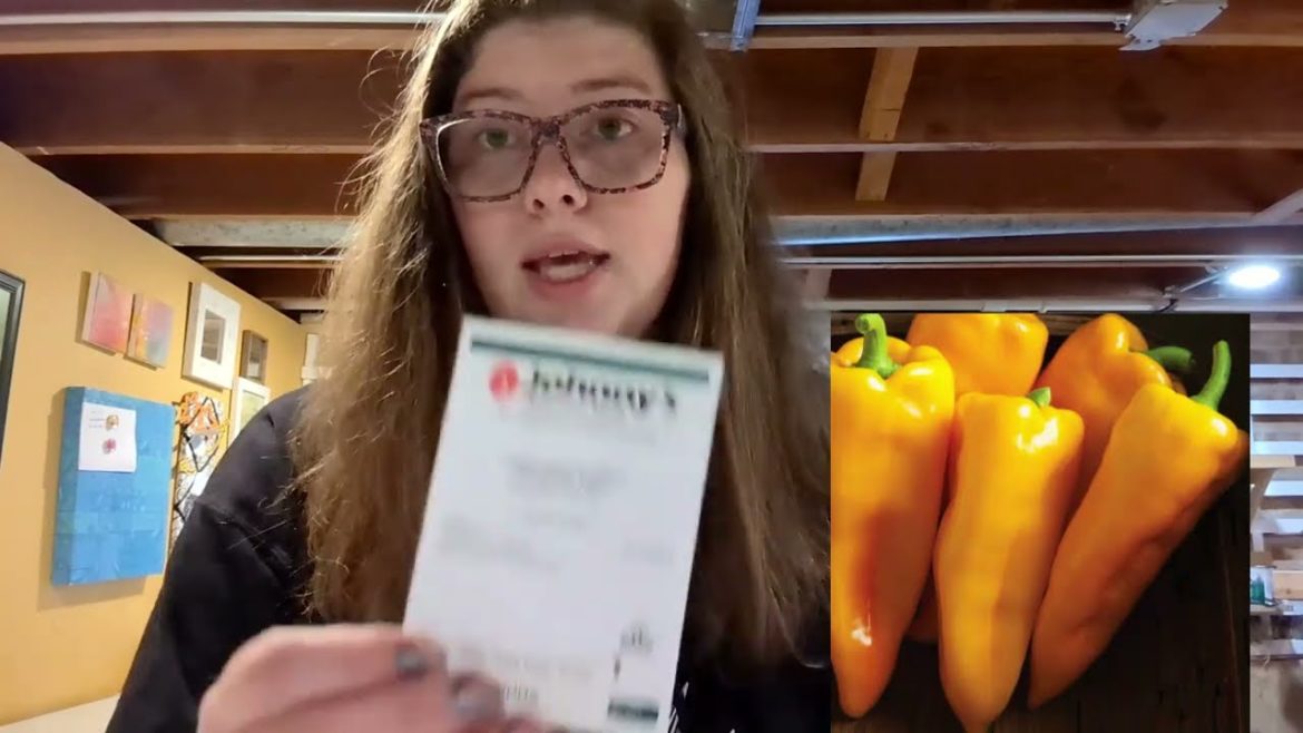 2023 Seed Haul and Garden Plan