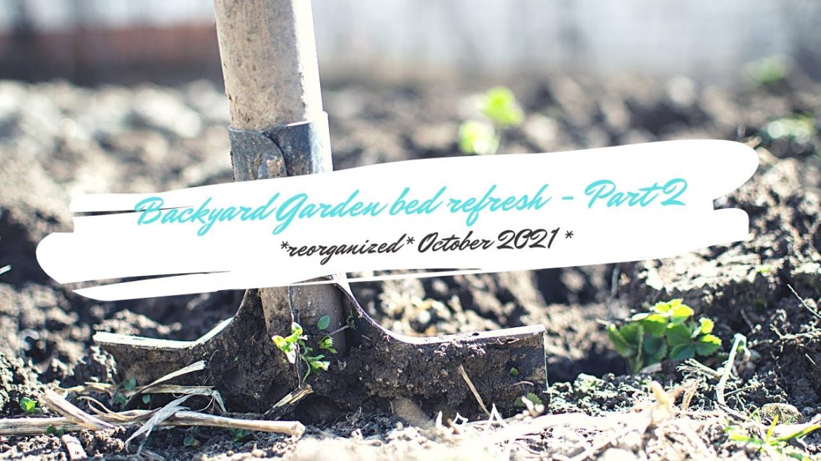Backyard Garden bed refresh – Part 2 – all done for now :)๐ฟ๐ฟ๐ฟ Backyard Garden bed refresh - Part 2 - all done for now :)๐ฟ๐ฟ๐ฟ