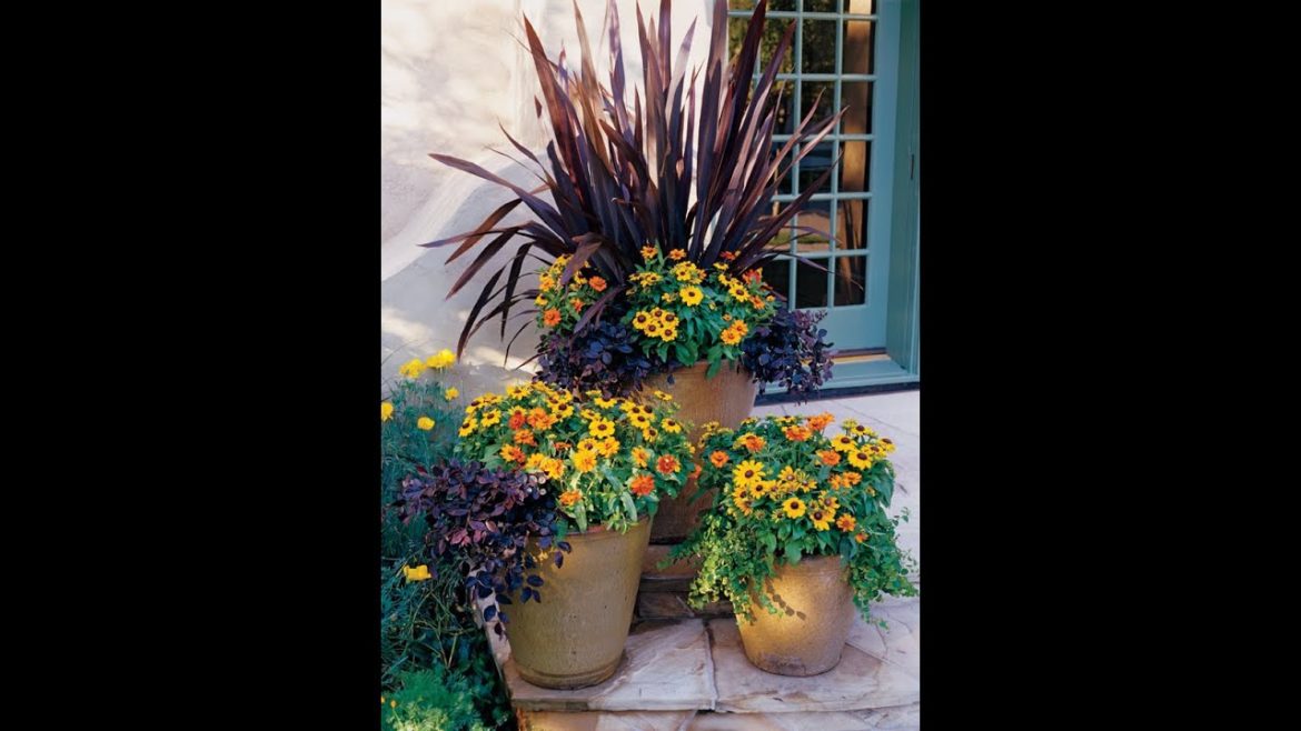 How to Create a Mixed Container Garden How to Create a Mixed Container Garden
