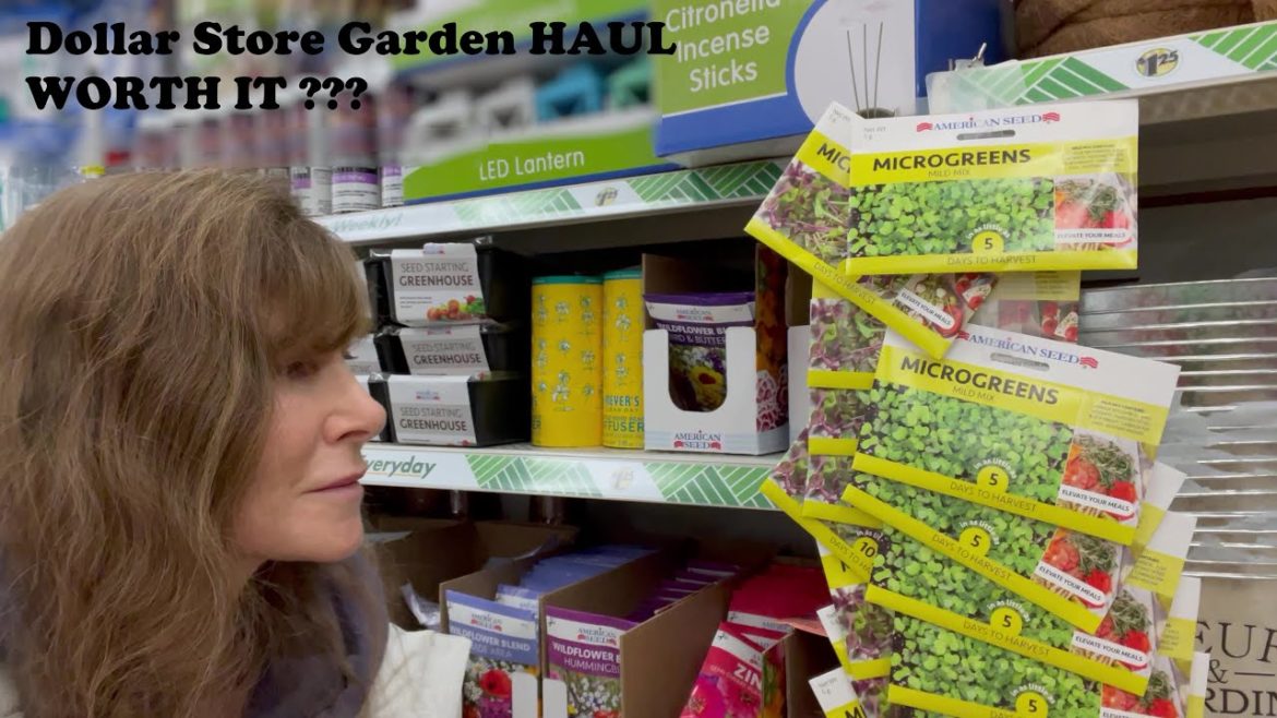 Dollar Store Garden Haul Dollar Store Garden Haul