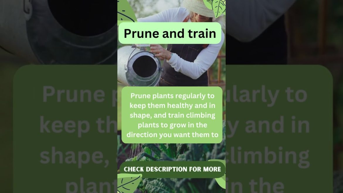 Best Gardening Tips & Hacks  3