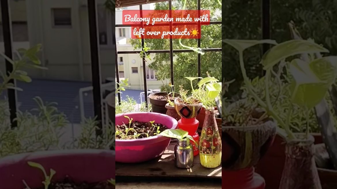 Creative Balcony Garden, வீட்டில் தேவையற்ற பொருள்களை வைத்து உருவாக்கிய மைக்ரோ #garden Creative Balcony Garden, வீட்டில் தேவையற்ற பொருள்களை வைத்து உருவாக்கிய மைக்ரோ #garden