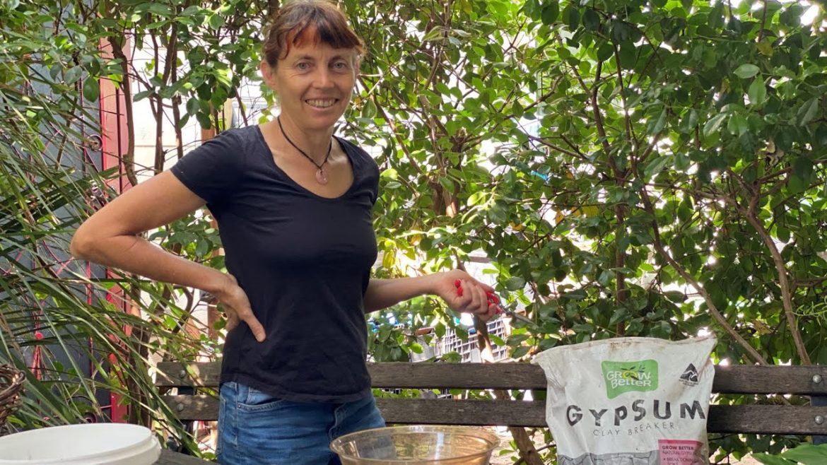 Improving clay soils in Melbourne Australia by adding Gypsum