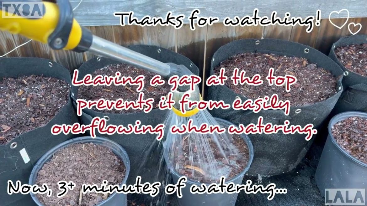 Bought Bad Soil? Never Know What You’re Gonna Get. #BadBatch #BackyardGarden