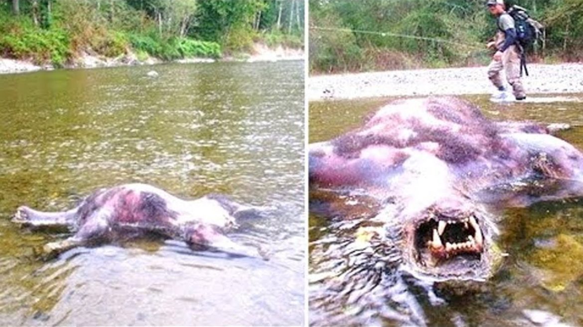 This Hiker Was Exploring This National Park With A Drone But Captured Something Unexpected