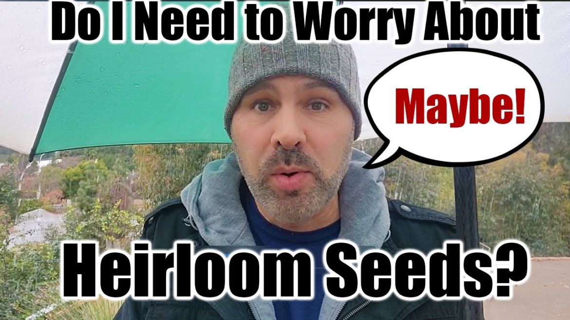 California Garden TV: What I’m Growing This Year // WHY I’m Growing More Hybrids What I'm Growing This Year // WHY I'm Growing More Hybrids