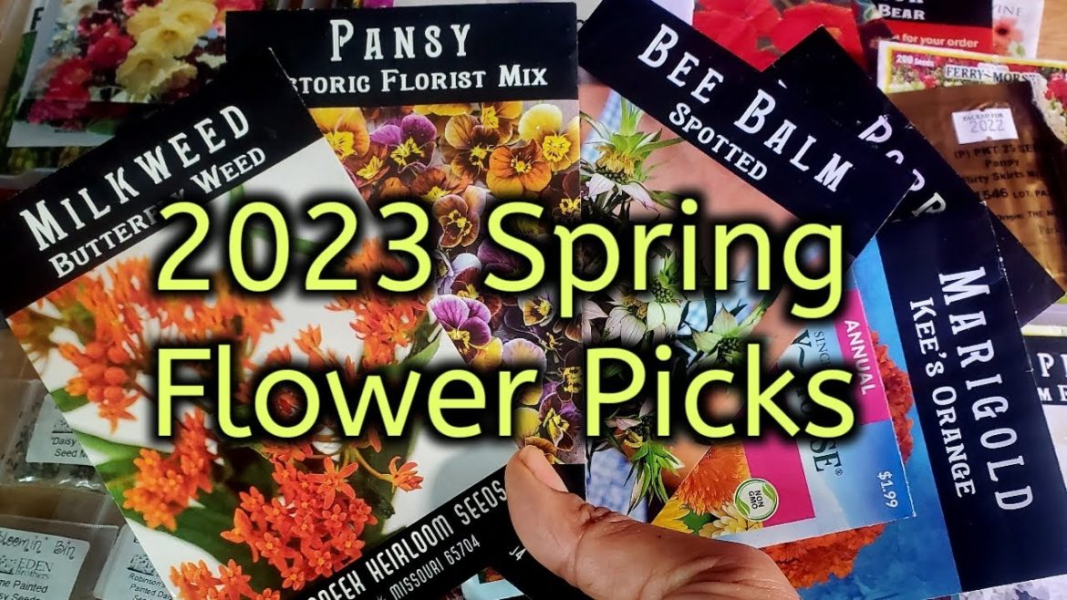 2023 Spring Flower Picks For This Garden Season