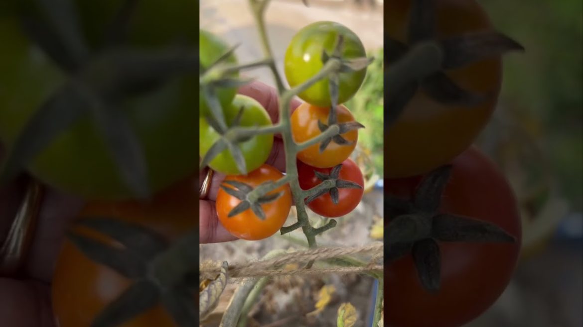 एक साथ क्यों नहीं होते