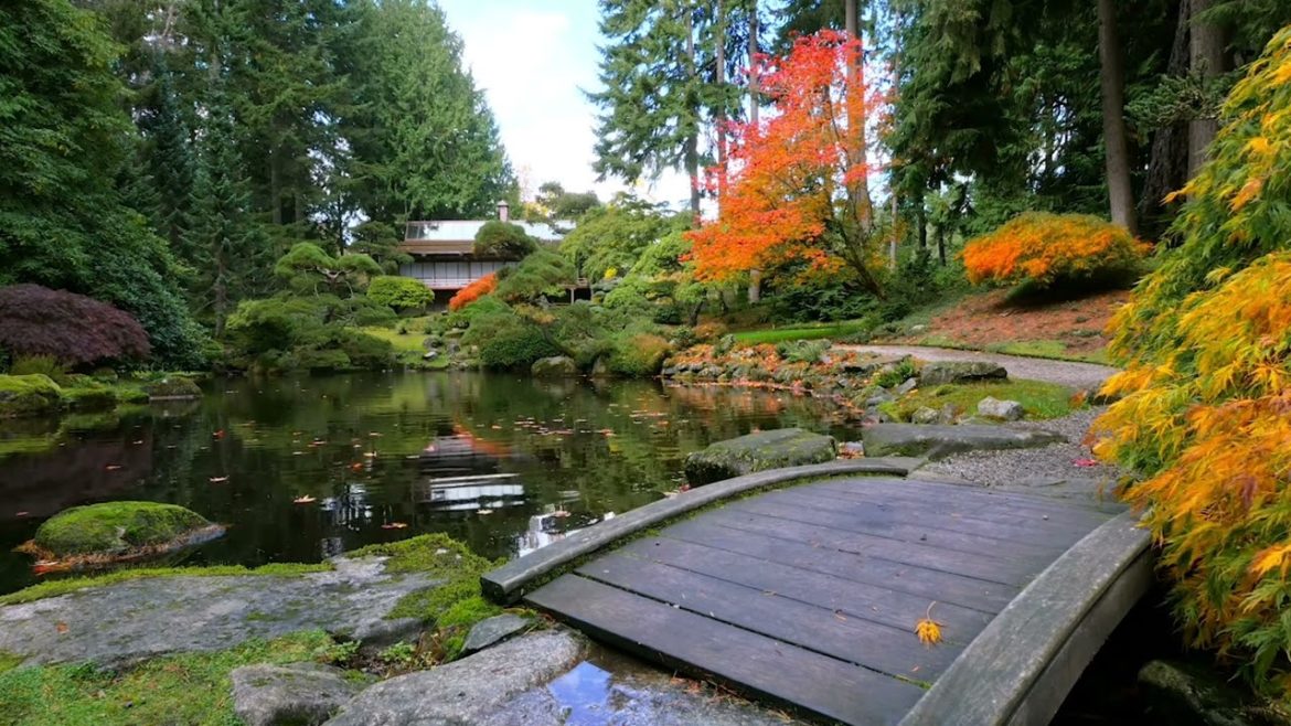 4K Japanese Garden Relaxing – Ambient With Bird & Bamboo & Waterfall 4K Japanese Garden Relaxing - Ambient With Bird & Bamboo & Waterfall