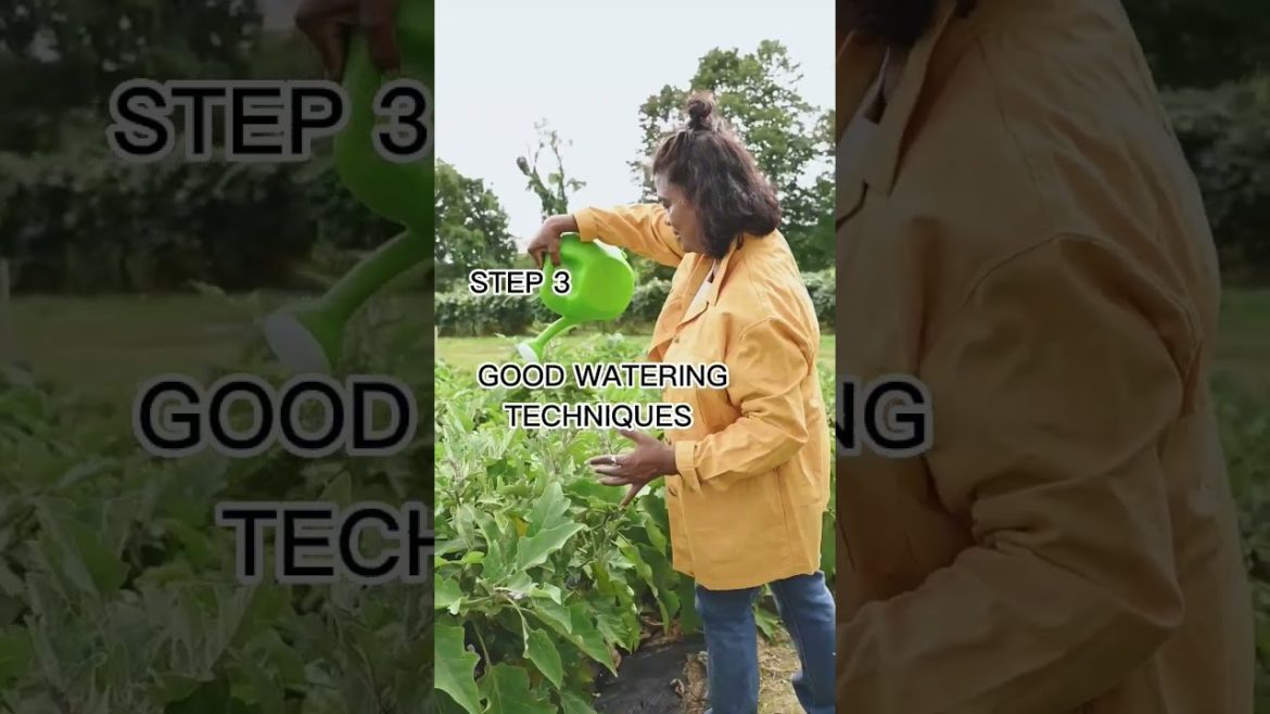 How to Start a Successful Urban Garden How to Start a Successful Urban Garden