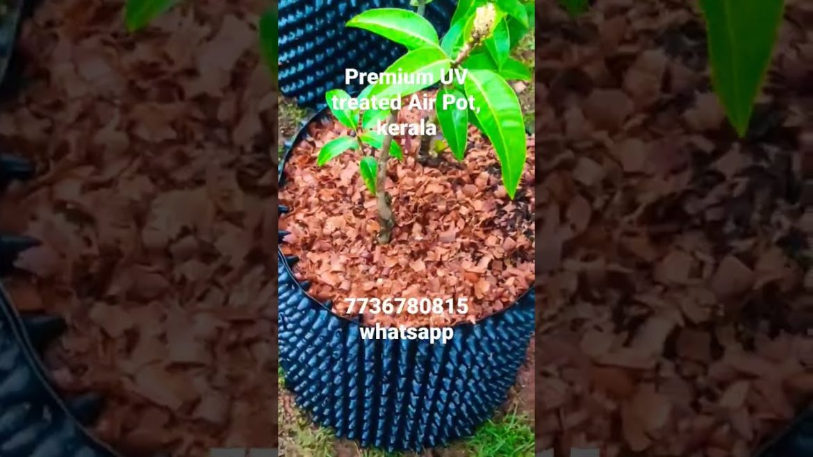 PREMIUM UV stabilized,       Air Pot, kerala 7736780815 whatsapp/ call