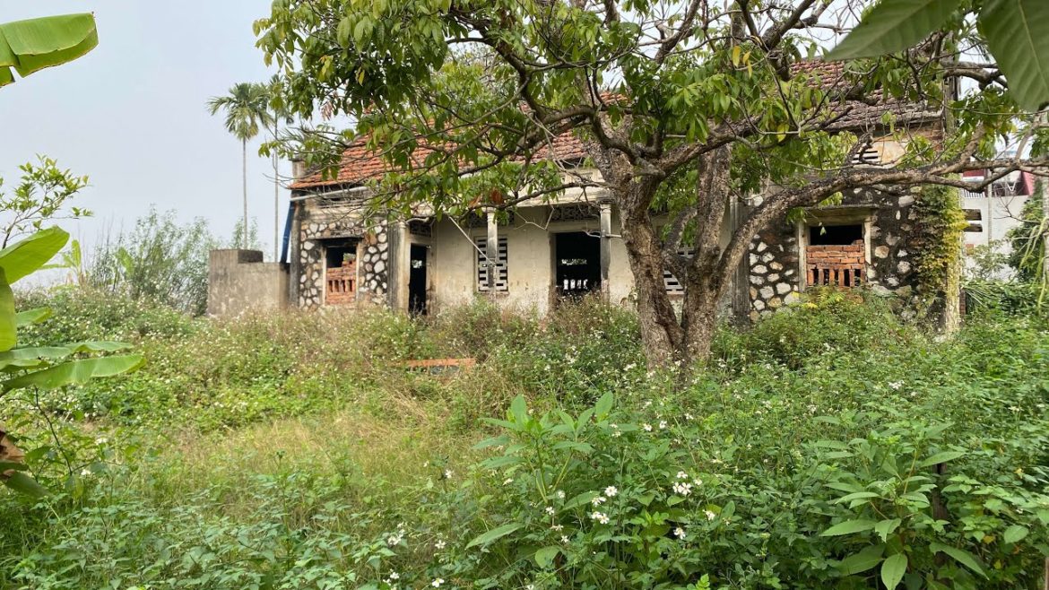 SHOCKED TRANSFORMATION in front of a 200-year-old abandoned house CLEAN UP overgrown GRASS for free SHOCKED TRANSFORMATION in front of a 200-year-old abandoned house CLEAN UP overgrown GRASS for free