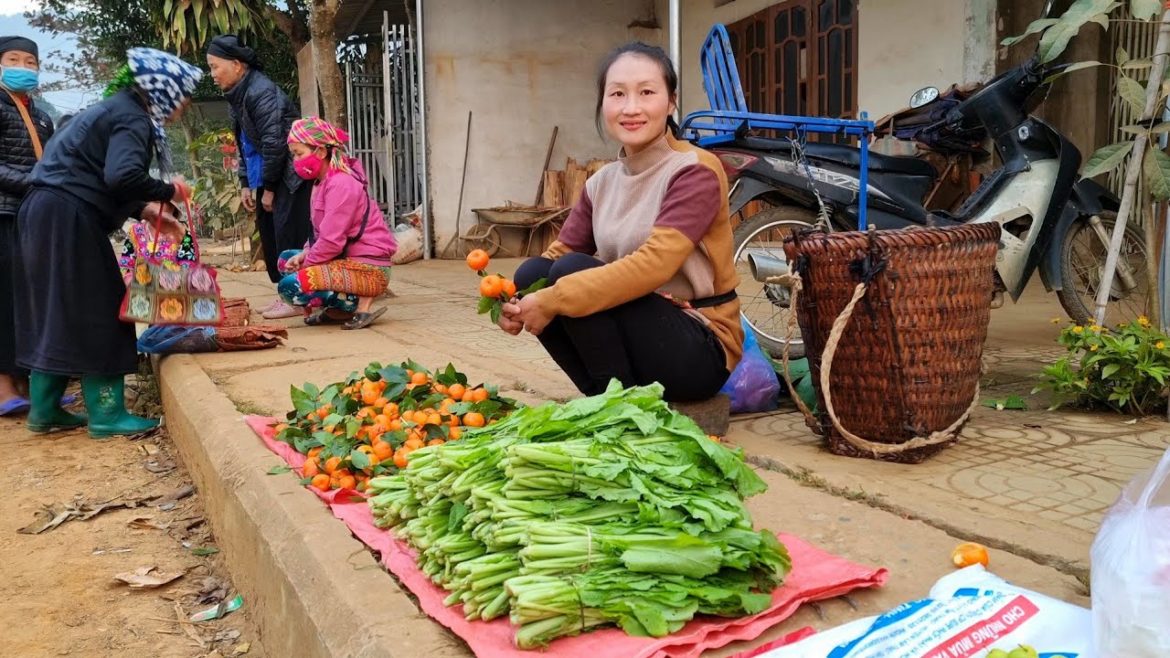Go to the market to sell tangerine & green vegetables, gardening | Ly Thi Tam.