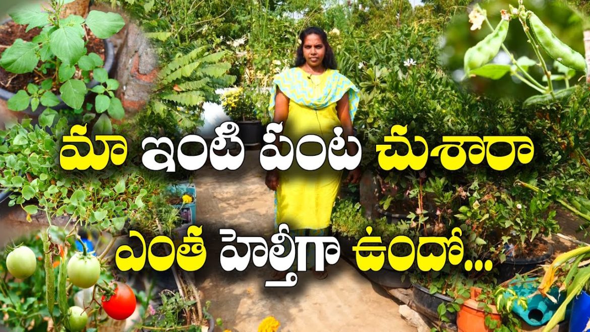 తీరొక్క పంటలు - 18 రకాల మందాలు - ఇలాంటివెన్నో ఉన్నాయి.. | Colourful Garden | Sukhanya