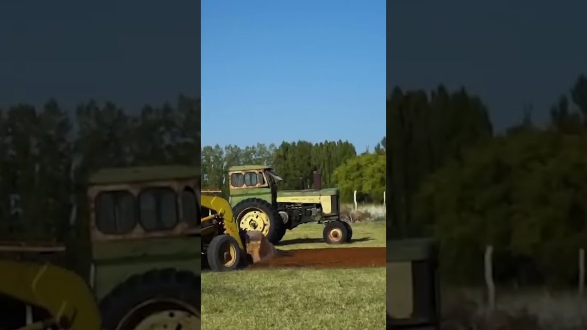 How fruit is transformed into firewood. #biologs #charcoal #biodegradable #fuel #firewood