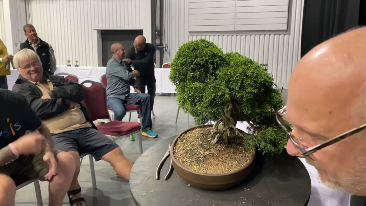 Shohin Bonsai Masterclass at The Bonsai Show Live
