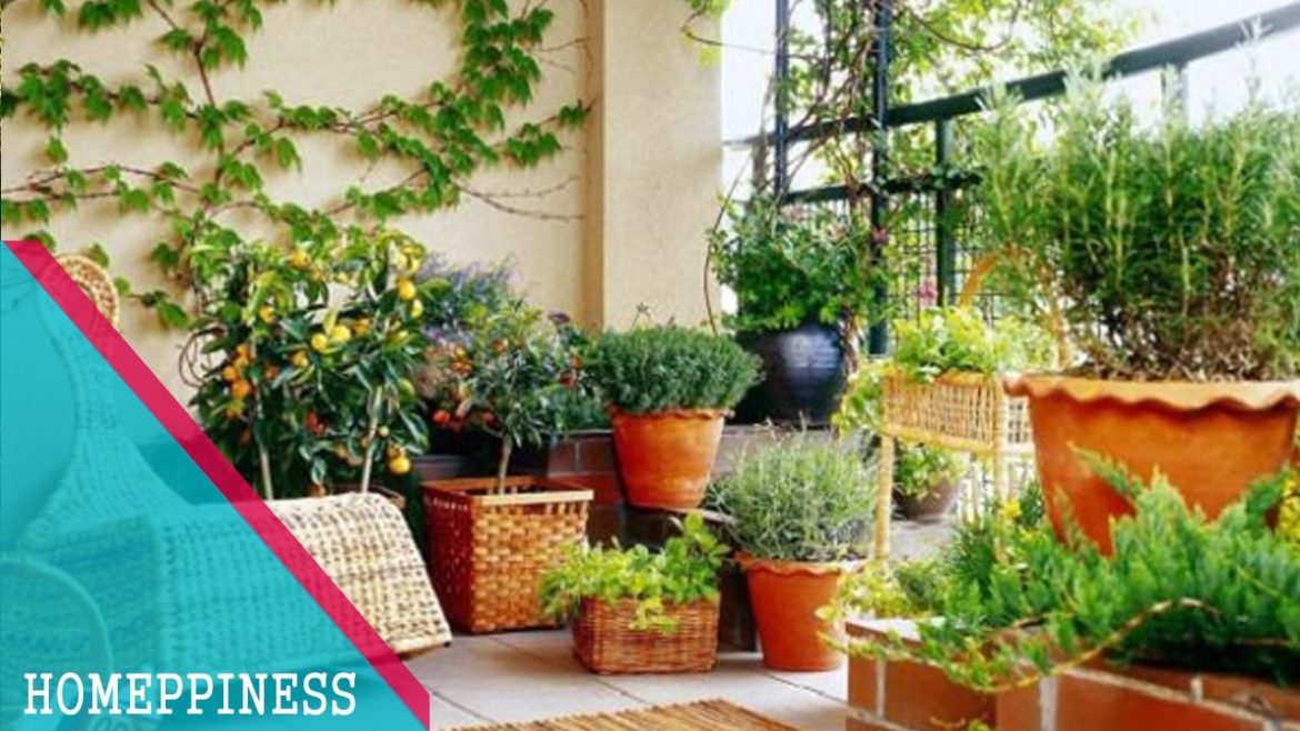 MUST WATCH !!! 30+ Cheap Small Balcony Garden Ideas With Vegetables & Flowers MUST WATCH !!! 30+ Cheap Small Balcony Garden Ideas With Vegetables & Flowers