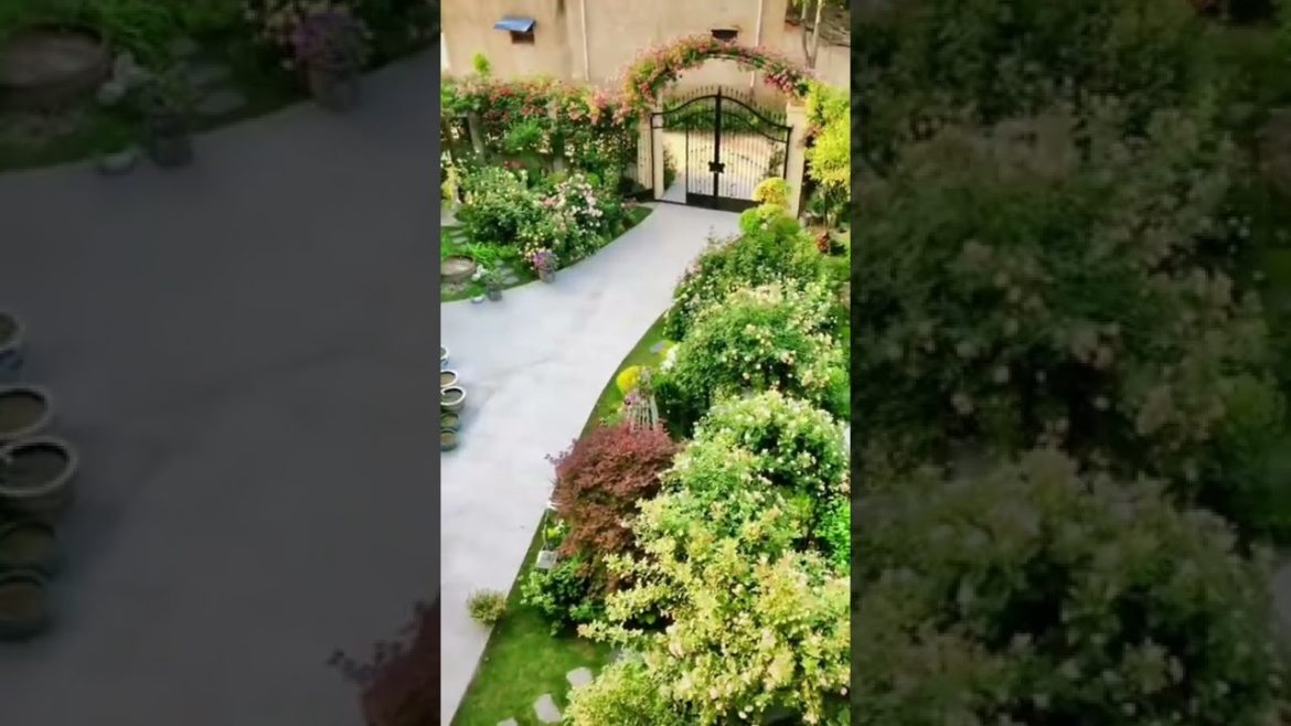 Garden Design, Home Garden #499 Simple New Viral Video,#Short