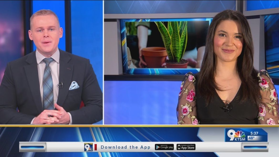 Peace Garden Plant Shop teaches how to plant