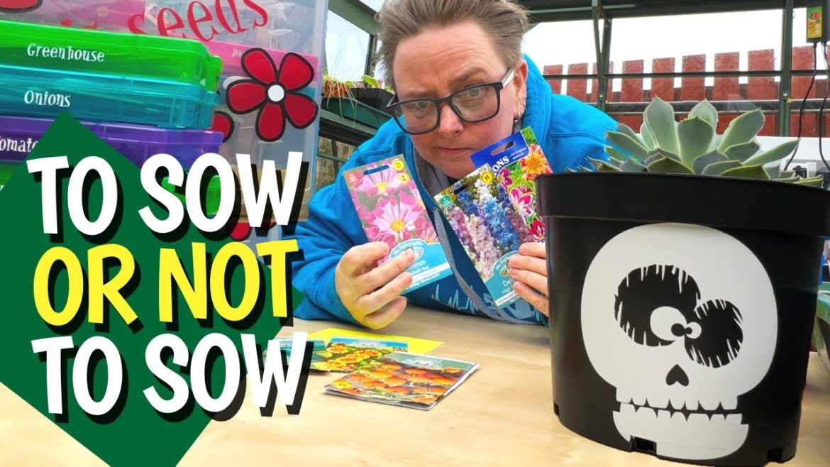 Maybe DON'T sow seeds in January and February