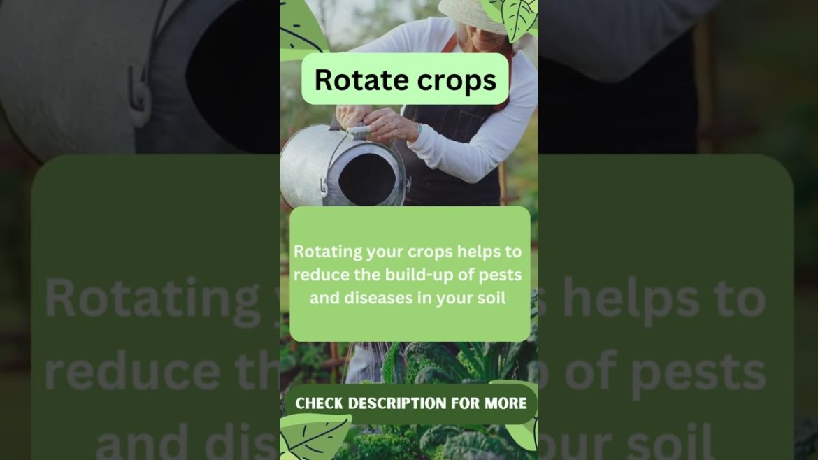 Best Gardening Tips & Hacks 2 Best Gardening Tips & Hacks 2