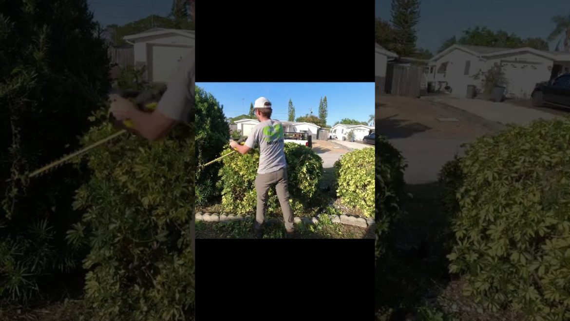 He was ANGRY with his neighbors