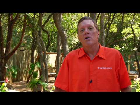 Gardening Tips : Removing Clover From Lawns Gardening Tips : Removing Clover From Lawns