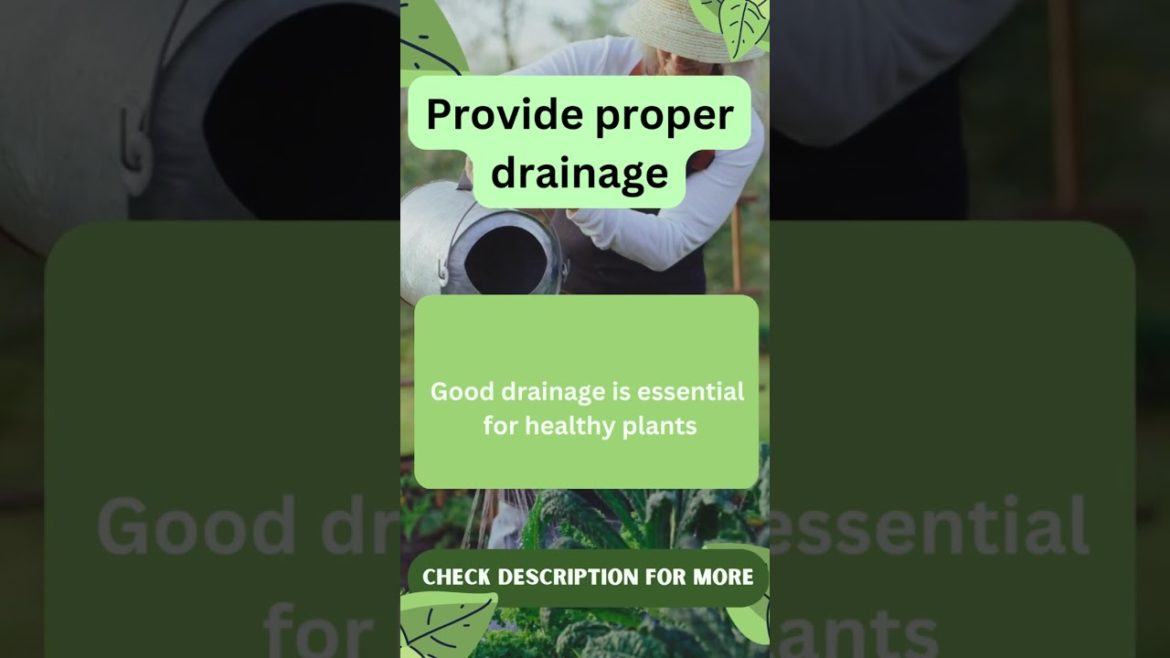 Best Gardening Tips & Hacks  5