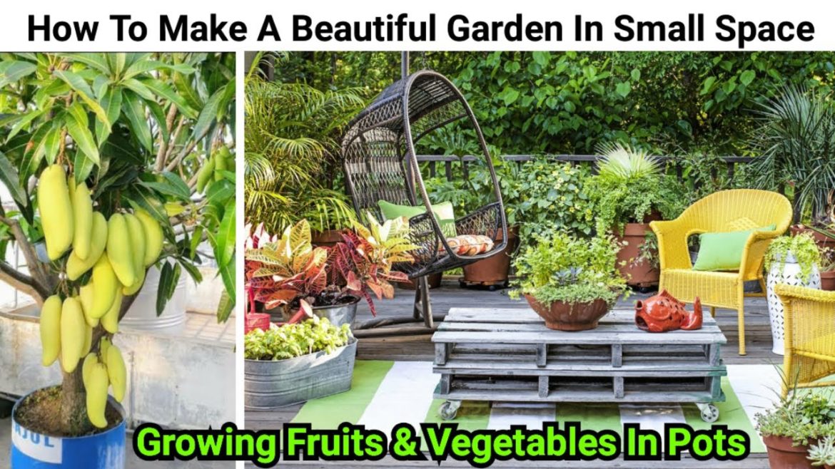 How to start gardening in small space | गमले में ढेर सारे फल फूल सब्जी उगाने के 10 जीनियस ट्रिक्स