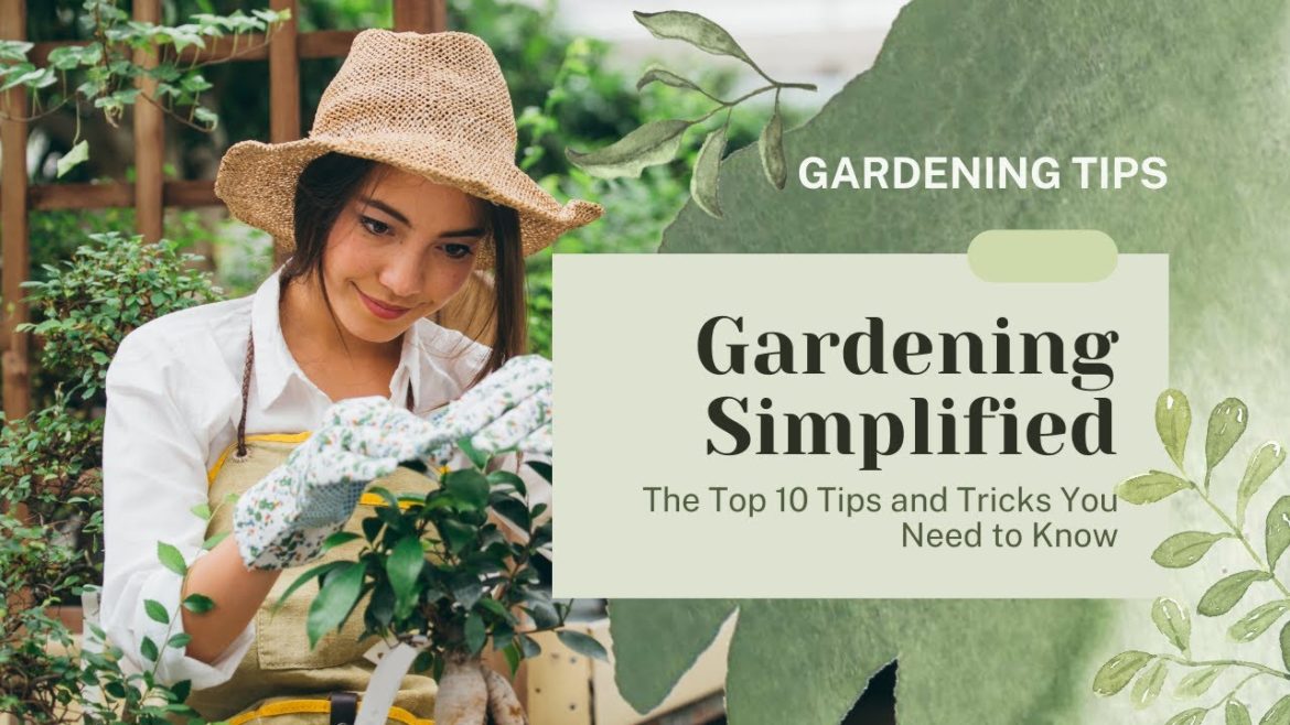 Gardening Simplified: The Top 10 Tips and Tricks You Need to Know