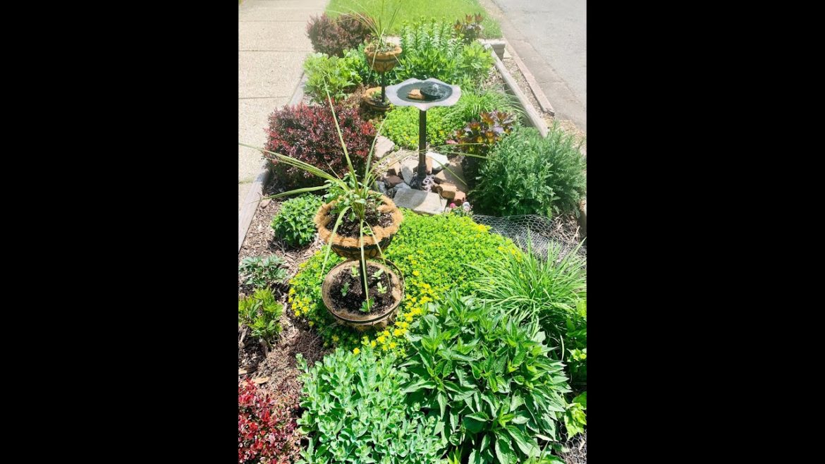 Front yard flower bed | Short