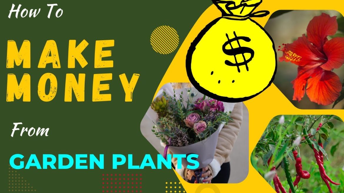 SECRETS TO MAKE MONEY From your GARDEN PLANTS AT HOME