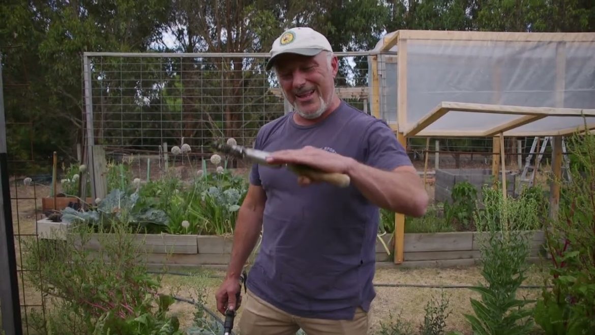 Important Tips On Hydrating Your Garden Important Tips On Hydrating Your Garden