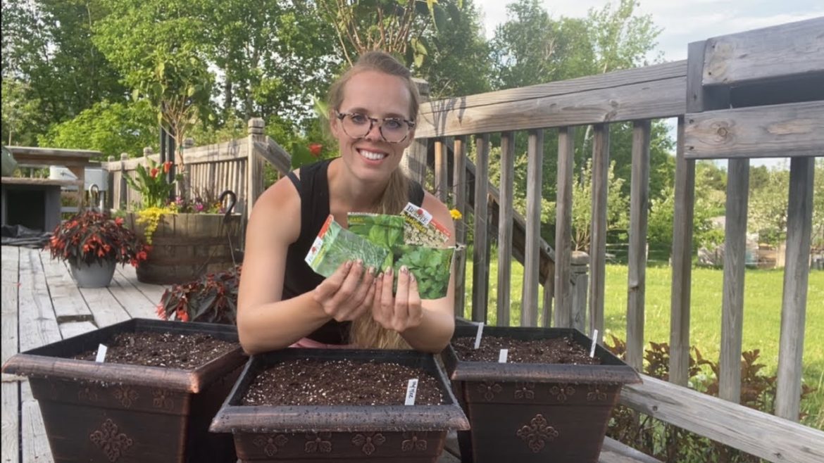 Planting A Herb Container Garden! |Simply Bloom