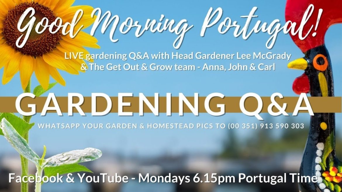 LIVE Gardening Q&A – The Get Out & Grow! Show – 09-01-23 LIVE Gardening Q&A - The Get Out & Grow! Show - 09-01-23