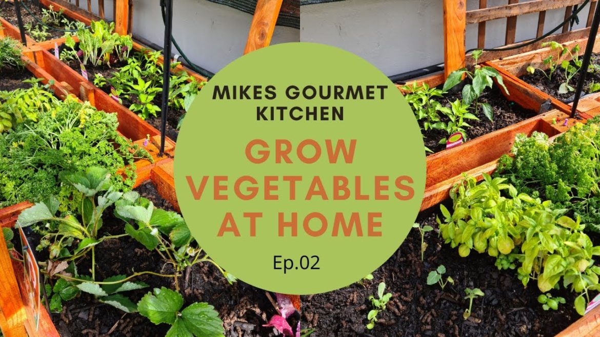 How to plant vegetables in a Raised bed | vegetable Gardening at Home Ep.02